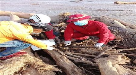 Bomberos hallan una pierna y restos óseos de cadáver...