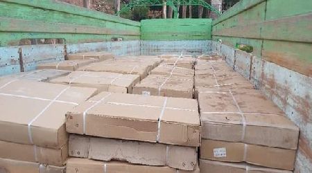 Base Naval decomisa 250 cajas de melamina de contrabando...